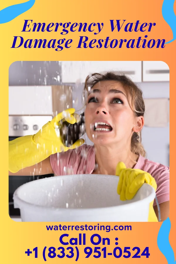 Emergency Water Damage Restoration in Sweetwater, ID