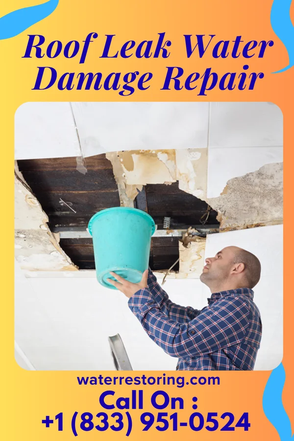 Roof Leak Water Damage Repair in Sweetwater, ID